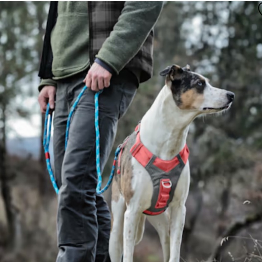 🪻 Kurgo Journey Air Polyester Reflective No Pull Red Dog Harness NWT M - Picture 2 of 11